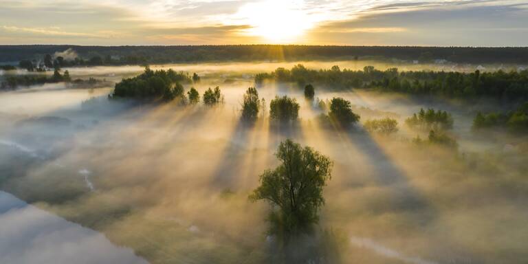 Bauernregel zum 21. März: "Wie das Wetter auf Benedikt, so ..."