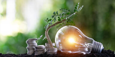 EVN und Verbund wollen bei Preissenkung bleiben