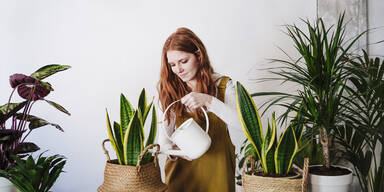 Pflanzen zum Tiefdurchatmen