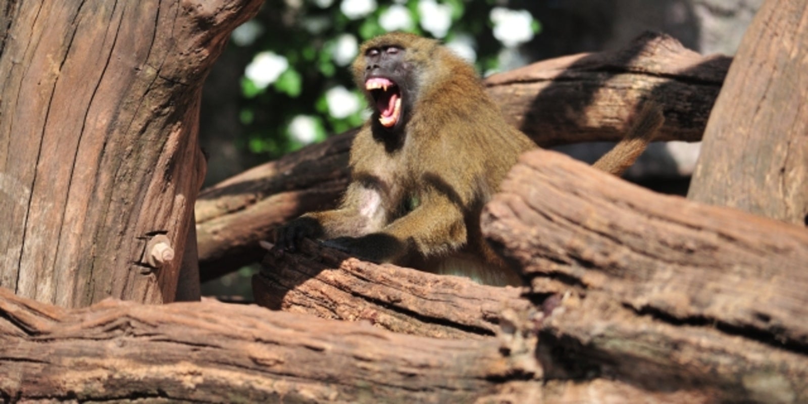 King bhizzi porno my favorite is deep French kissing during