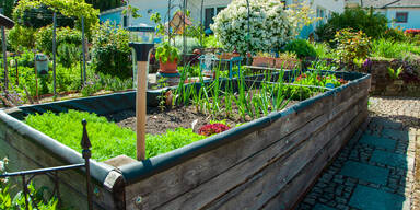 G&auml;rtnern auf Augenh&ouml;he