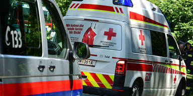 Spektakul&auml;re Lebensrettung in Vorarlberg