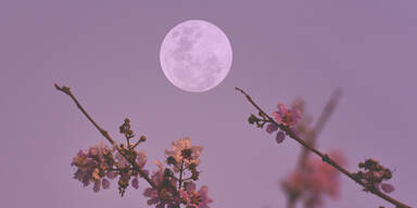 Vollmond am 1. Mai 2026: Diese Sternzeichen profitieren JETZT am meisten