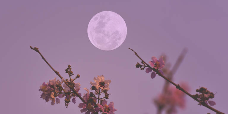 Vollmond am 1. Mai 2026: Diese Sternzeichen profitieren JETZT am meisten