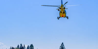 Frau von tödlichem Blitzschlag getroffen: Ihr Hund überlebte