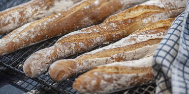 Rustikale Baguettes