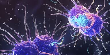 Paukenschlag: Heilmittel gegen Tripper gefunden