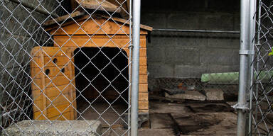 Teenagerin jahrelang misshandelt und in Hundekäfig festgehalten