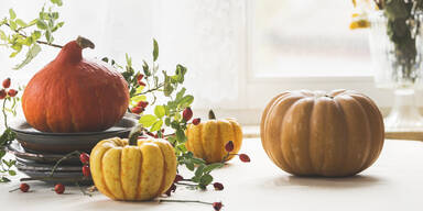 Deko-Gefahr: Diese Kürbisse können in der Wohnung gefährlich werden