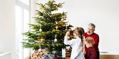 Mit diesen Tipps hält der Christbaum möglichst lange