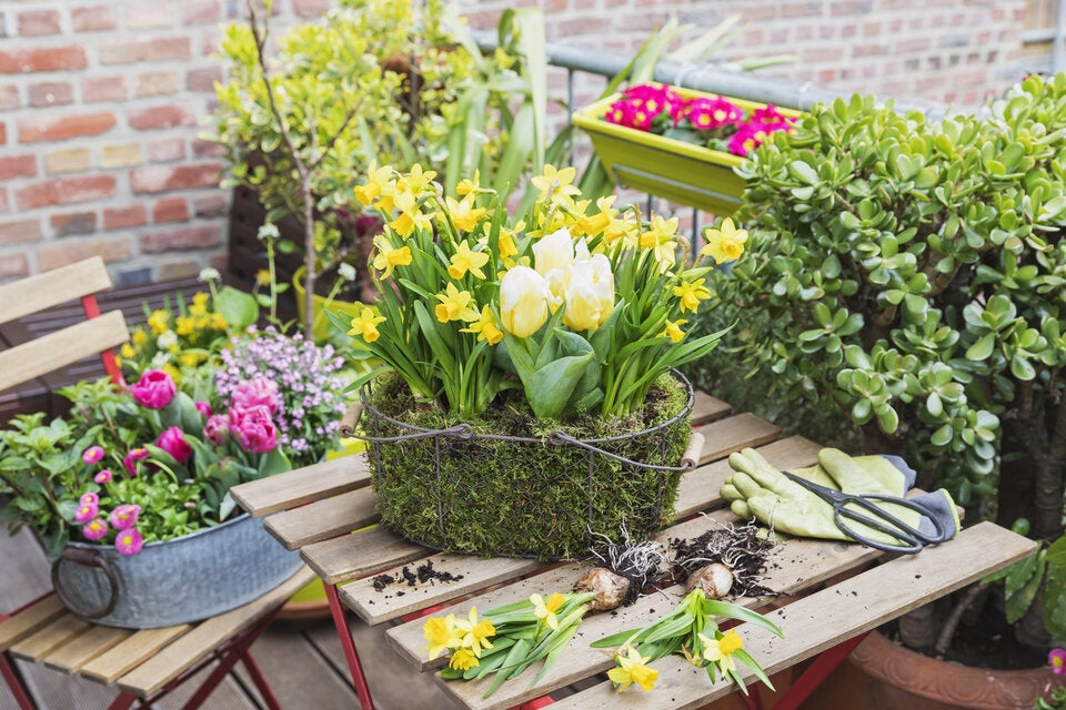 Frühling auf Balkon & Terrasse: Mit diesen Tipps wird’s richtig schön