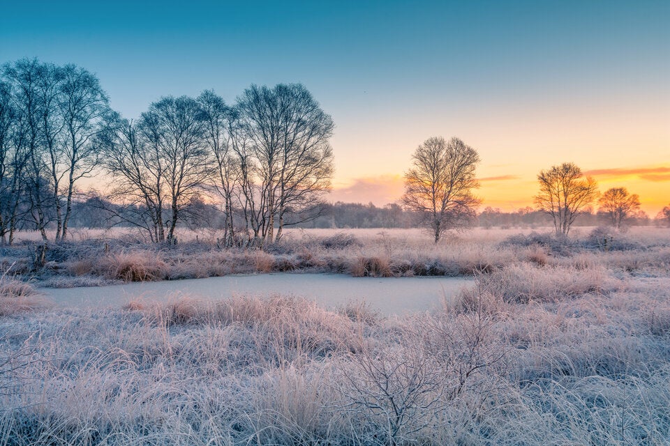 Bauernregel zum 18. Februar: 