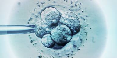 Samenspender mit Krebs-Gen zeugte 67 Kinder: Nachwuchs erkrankte!