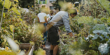 Mit diesen Pflanzen werden Sie Zecken im Garten endlich los