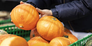 Kürbis-Check: So erkennen Sie das beste Exemplar im Supermarkt