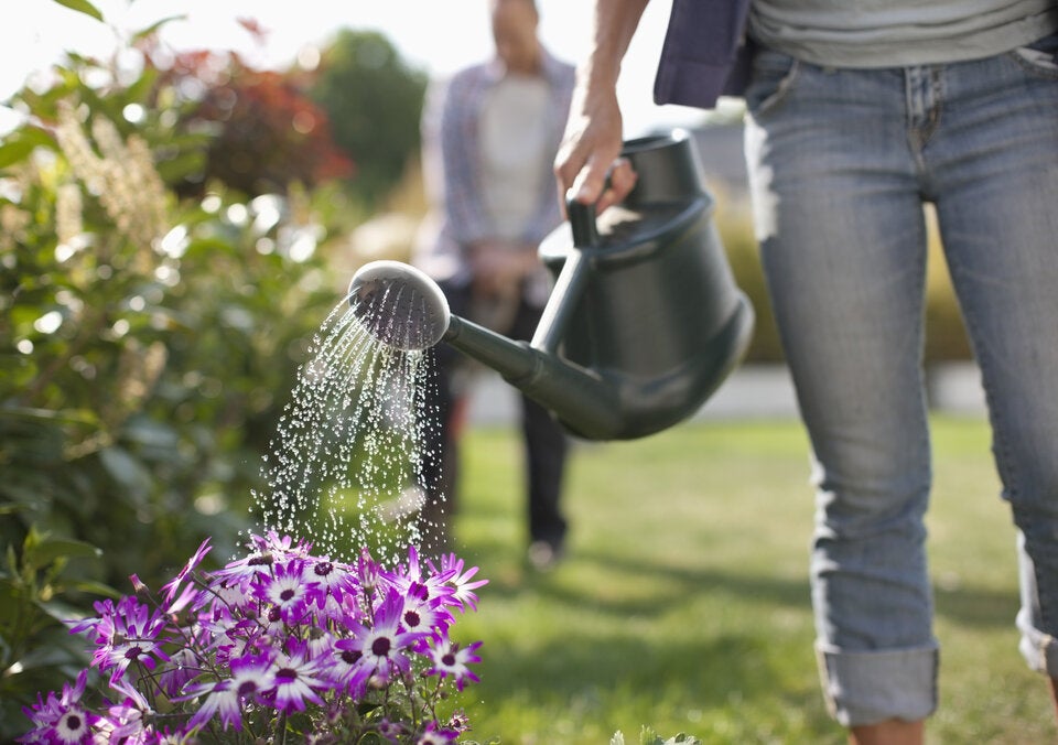 Achtung: Das sind die größten Gartenfehler im Sommer