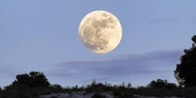 Ihr w&ouml;chentlicher Mondkalender: 03.03. - 09.03.