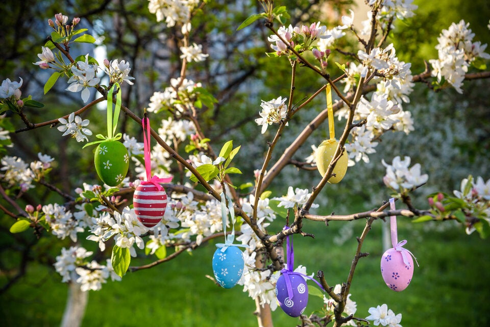 Die blühenden Zweige stellt in diesen Wochen der Garten zur Verfügung, die bunten Ostereier werden mit Lack überzogen und in den Ästen mit Bändern fixiert.