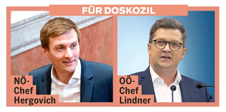 SPÖ DOskozil