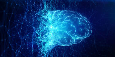 Soziale Kontakte f&ouml;rdern das Gehirn