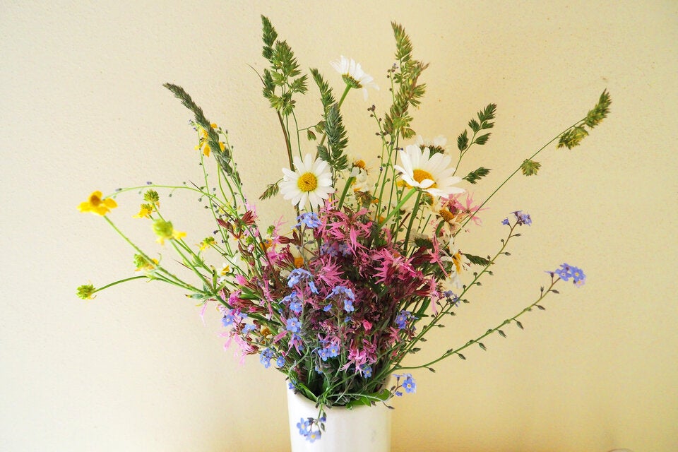 Der ultimative Muttertags-Guide: Diese Blumen passen zu Ihrer Mama