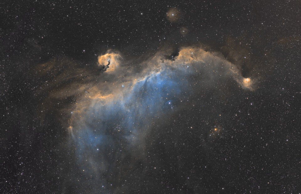 Februar 2026: Ihr Monatshoroskop von Star-Astrologin Gerda Rogers