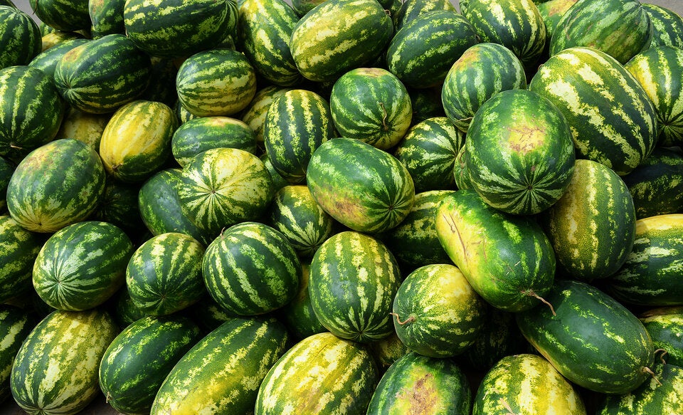 So erkennen Sie eine reife Wassermelone
