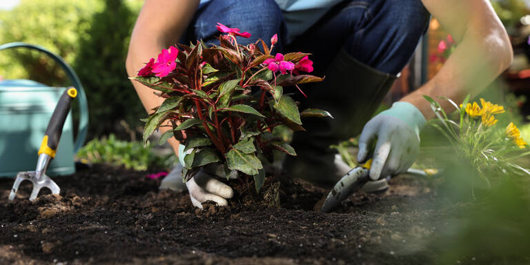 Gift-Falle im Garten: Diese beliebten Pflanzen sind lebensgefährlich