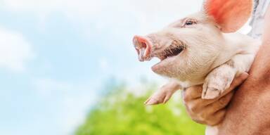 Ein neuer Maßstab für das Wohl der Tiere