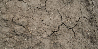 Trockenheit Niederlande
