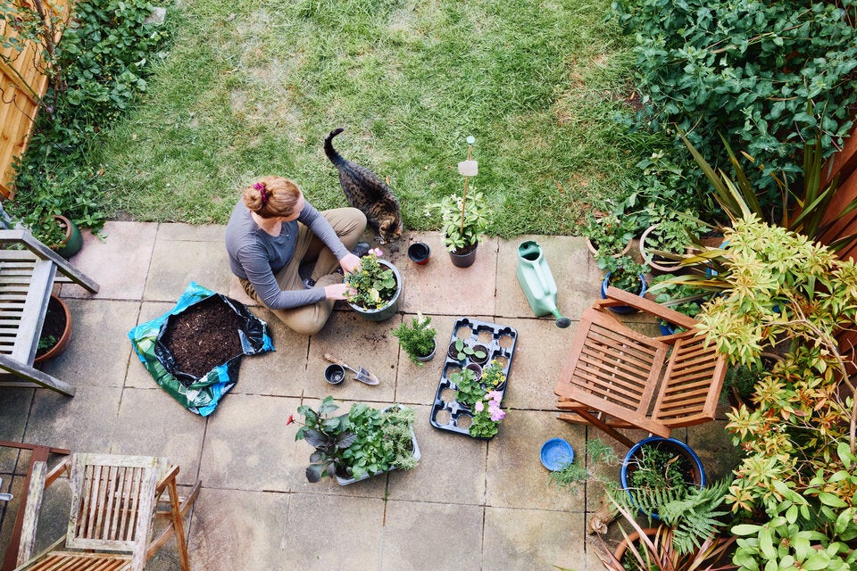 Nach Regenwetter: So bringen Sie Ihren Garten jetzt wieder auf Vordermann
