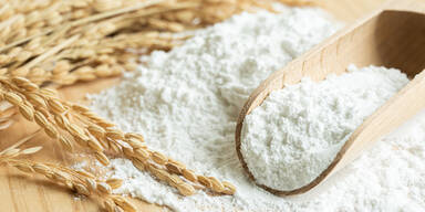 Schwechat bekommt eine neue Bio-M&uuml;hle