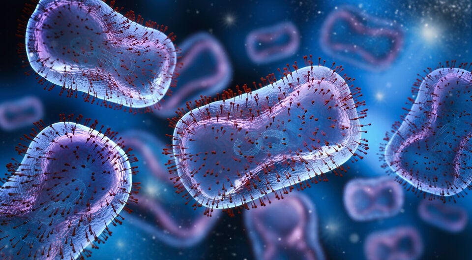 „Superbug“ oder MRSA Der Methicillin-resistente Staphylococcus Aureus (s. Bild) zählt zu den bekanntesten multiresistenten Krankenhauskeimen.  