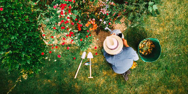 Nach Regenwetter: So bringen Sie Ihren Garten jetzt wieder auf Vordermann