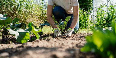 Welche Gartenarbeiten im April anstehen