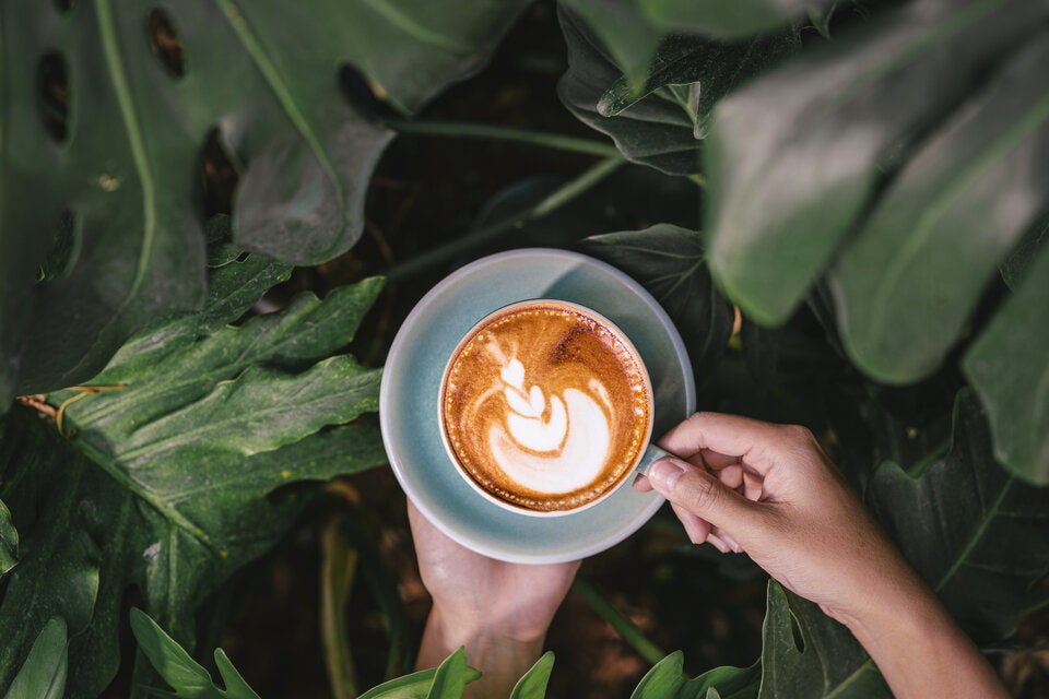 Kaffeeblatt-Tee statt Kaffee: Ist das der große neue Trend?