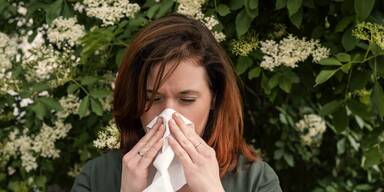 Vorsicht! Diese Alltagsfehler machen Ihre Pollenallergie NOCH schlimmer