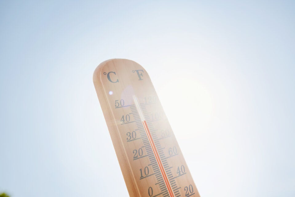 Hitze-Hacks: Diese Kühlungsstrategien bringen wirklich was!