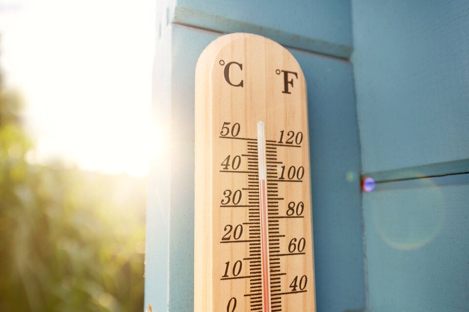 In den kommenden Tagen wird es richtige heiß – bis zu 37 Grad sind möglich. 