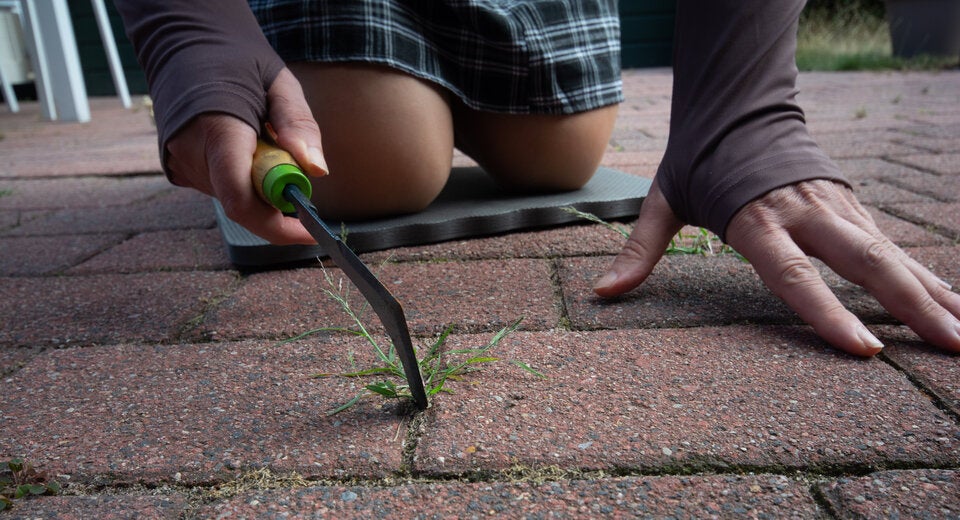 Unkraut-Alarm auf der Terrasse? So lösen Sie das Problem dauerhaft
