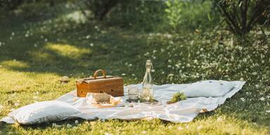 Picknickrezepte für den Sommer: Einfach, lecker & schnell gemacht