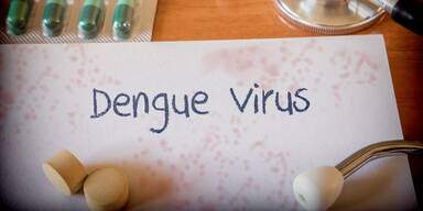 Hightech gegen Dengue – Ohne das Ökosystem zu vergessen