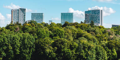 Erraten Sie nie: Das ist das umweltfreundlichste Land der Welt