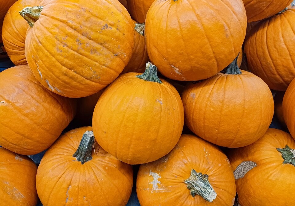 Kürbis richtig wählen: Welche Sorte passt zu welchem Gericht?