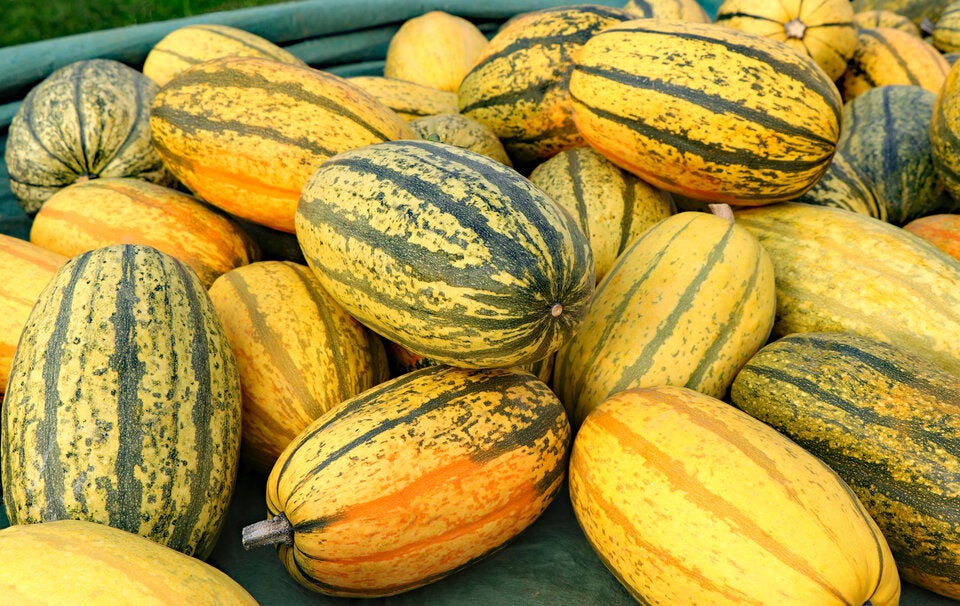 Hokkaido, Butternut & Co.: Diese Kürbisse können Sie mit Schale essen und diese nicht!