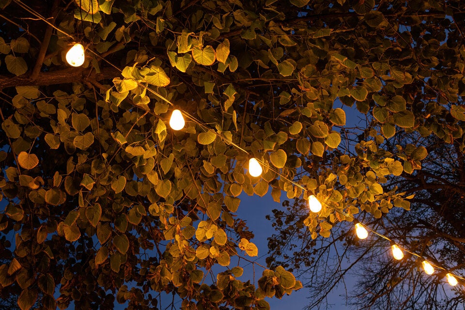 Herbstgarten verschönern: Die besten Beleuchtungen für gemütliche Abende