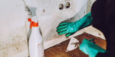 Schimmel entfernen: Das einzige Mittel, das wirklich hilft!