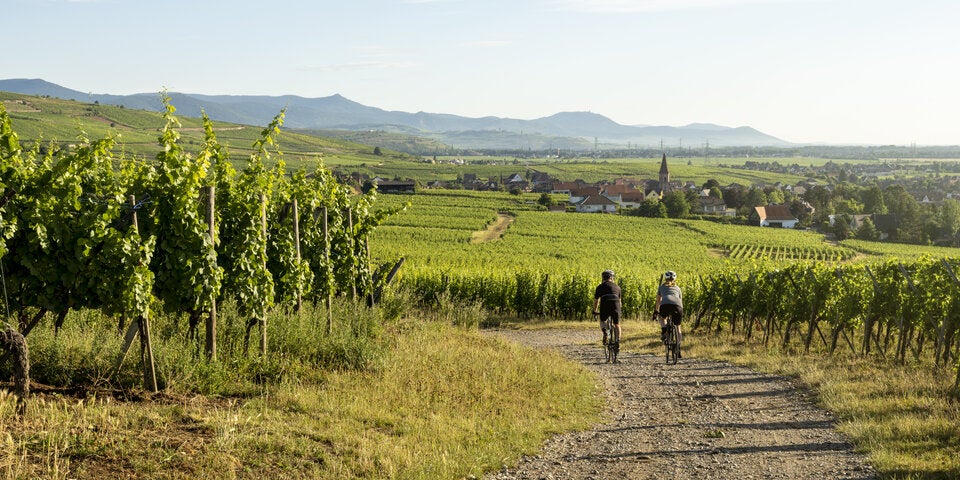 Radvergnügen: Die besten Fahrradtouren in Österreich