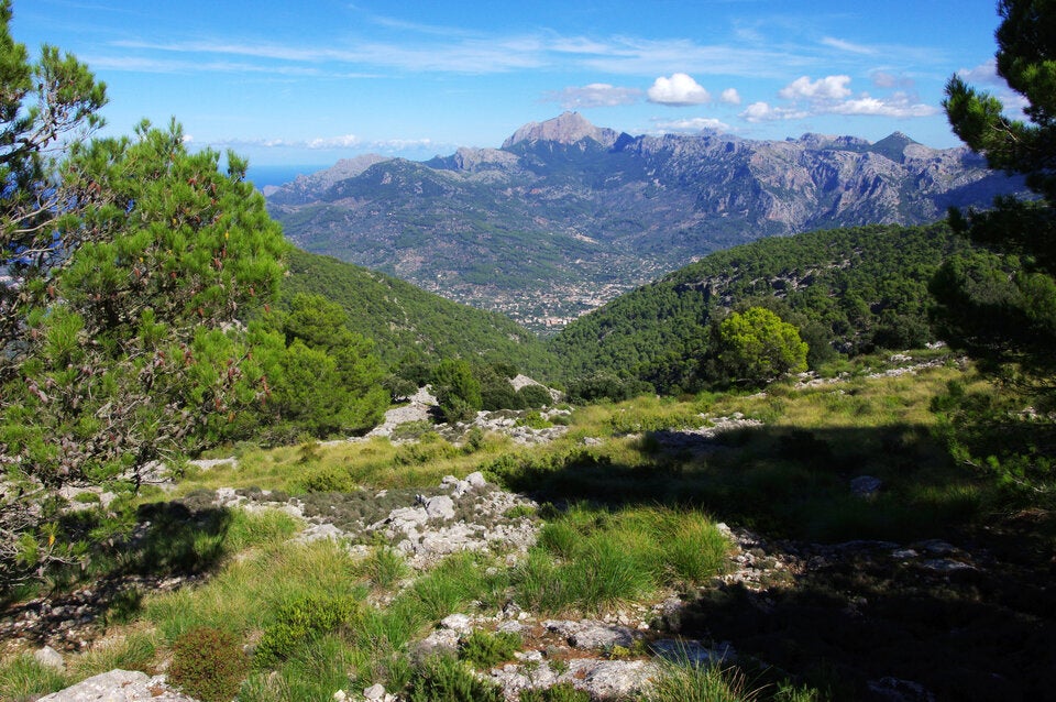 Geheimtipps: Diese Wanderwege in Europa wecken Frühlingsgefühle