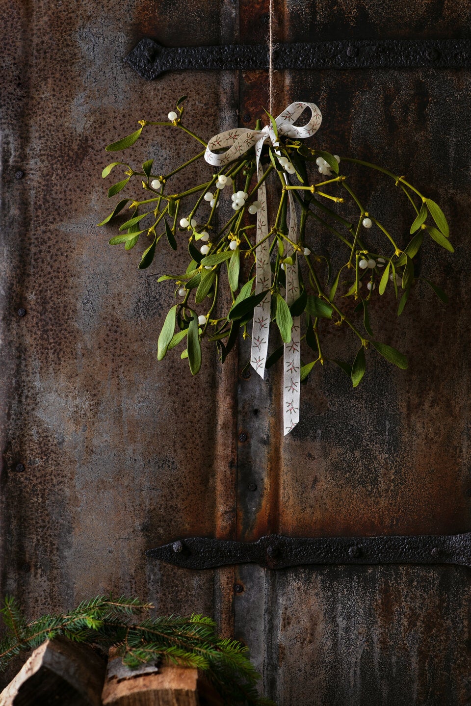 Von Mistel bis Myrte: Die geheimen Botschaften der Weihnachtspflanzen